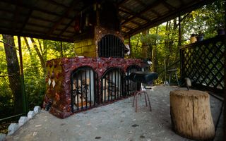 Casă de Vacanță Amenajată | Vălișoara DJ107M | Ciubăr · Foișor · BBQ | - Poză 7