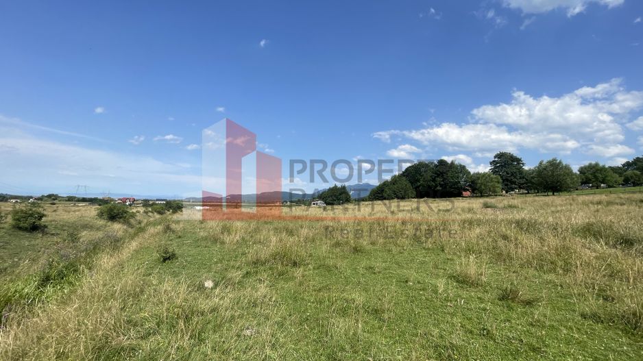 Teren de vanzare in  Tohanu Nou-Sohodol 6200 mp - Poză 7