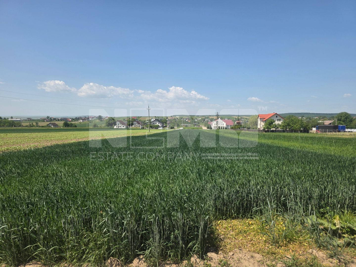 TEREN EXTRAVILAN | MITOCU DRAGOMIRNEI | 2.600 Mp - Poză 6
