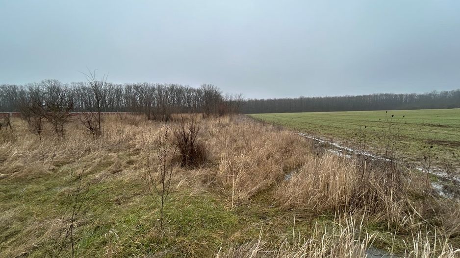 Teren intravilan de vânzare – 5.986 mp, Ciofliceni, Snagov (Ilfov) - Poză 1