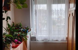 Apartament cu 2 camere de vânzare în Micro 14, Satu Mare - Poză 2