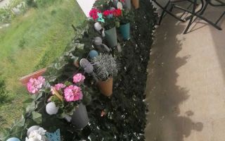 Apartament 3 cam, 60MP, Et.1/3, DC // Rediu [2 min de rond Pacurari] - Poză 14