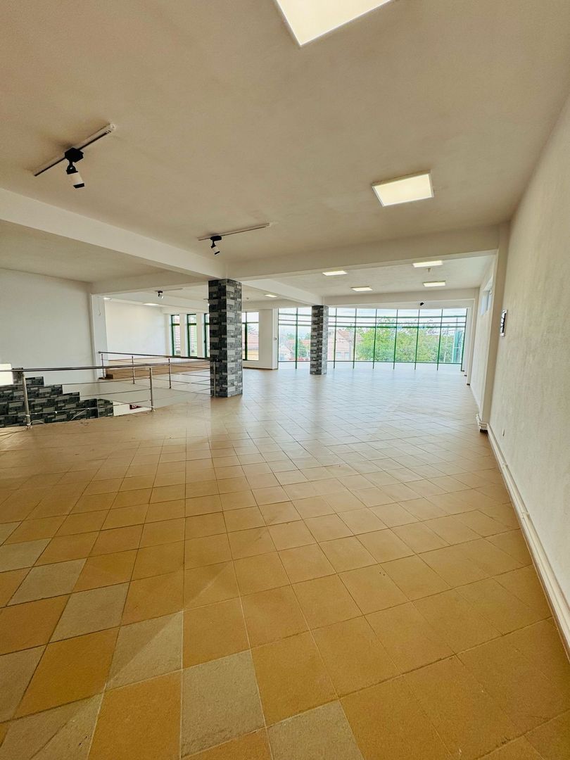 Trafic Micalaca de închiriat spațiu comercial P+E cu Depos. + Parcare - Poză 8