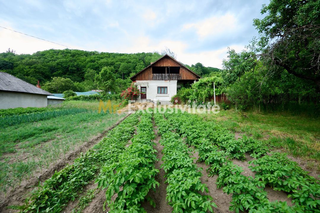 Casa cu teren generos - 4696 mp Apa Sarata - Campulung !! - Poză 4