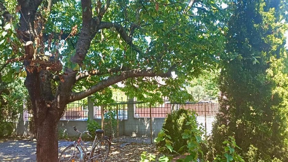 Casa de vanzare Tulcea / MAHMUDIA - Poză 12