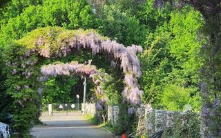 Vila 5 camere Avangarde Forest 4 | Mobilata complet - Poză 47