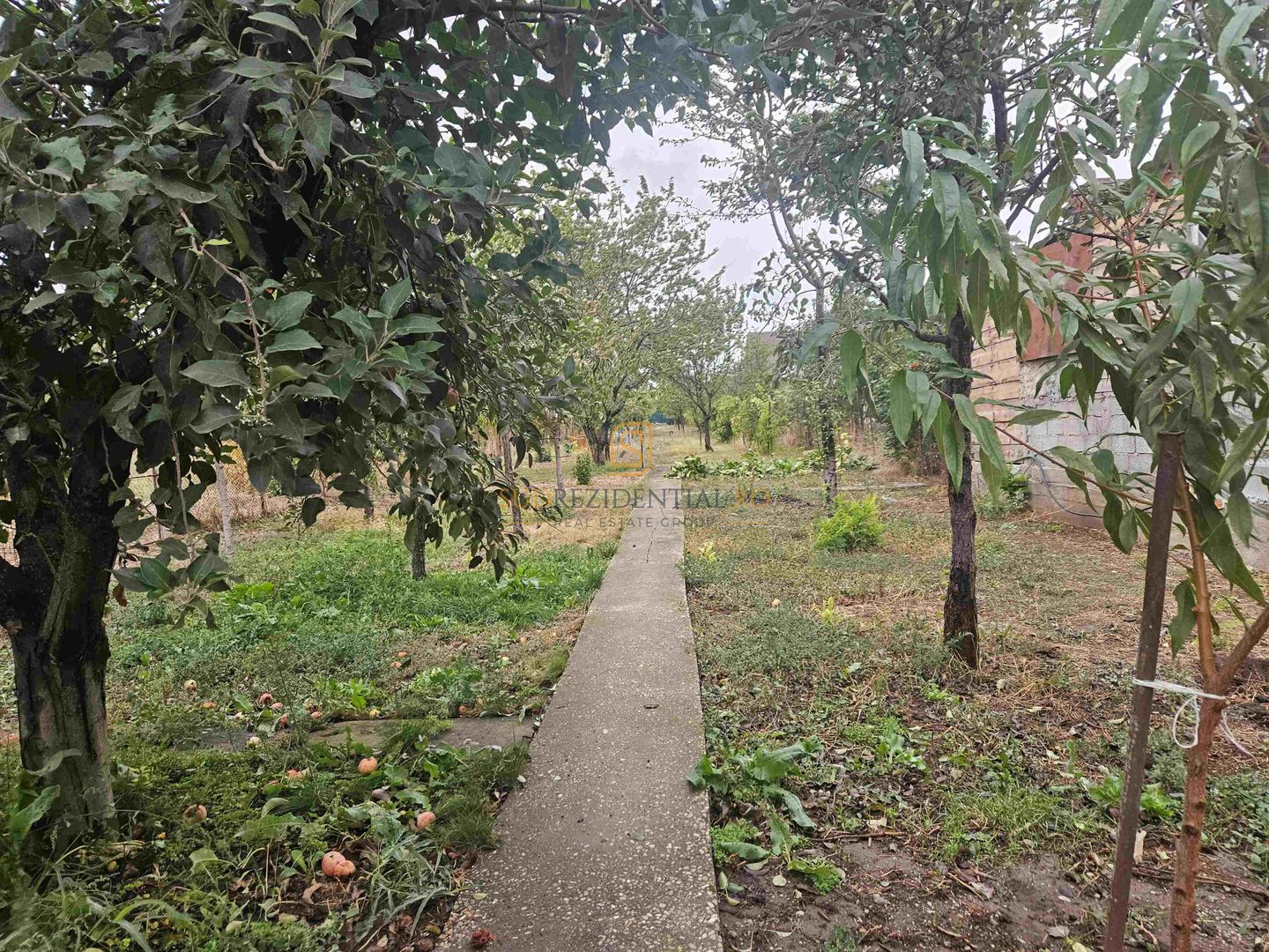 Casa indviduala cu 4 camere si teren generos - Jilava, Str. Garii - Poză 10