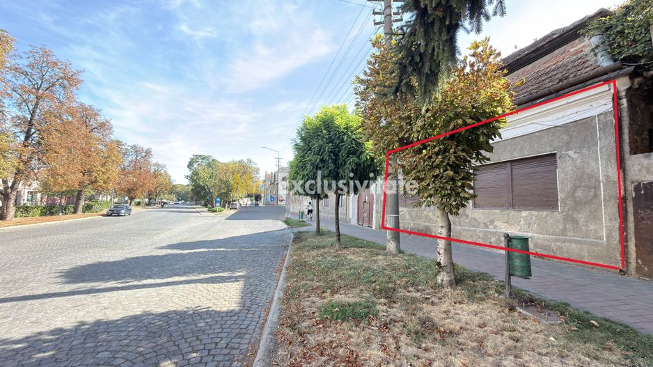 Apartament in Casă 2 camere Teren 100 mp / Str. 1 Dec. 1918 - Carei - Poză 2