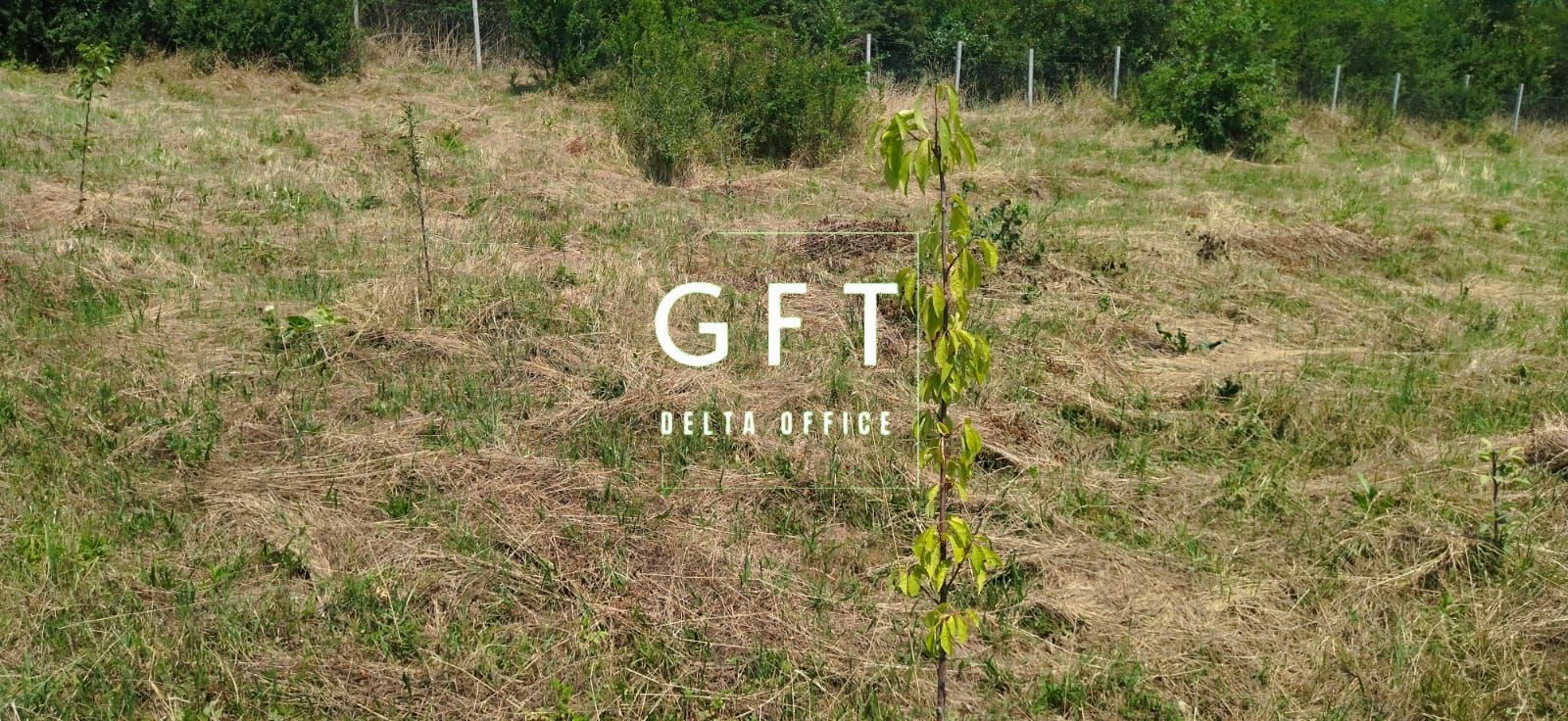 Teren intravilan 1020 mp-2 fronturi-ideal casa-Zona La Soare - Poză 2