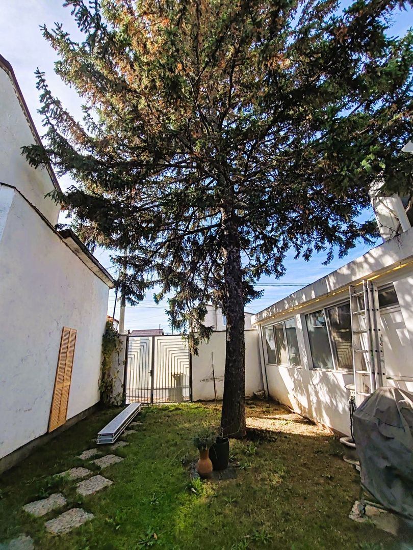 Spațiu birouri & Depozitare în Jilava – Ideal Firme, Magazin on-line - Poză 40