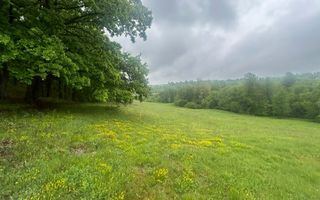 Teren Extravilan 4.572mp | Zonă liniștită | Sadu - Poză 5