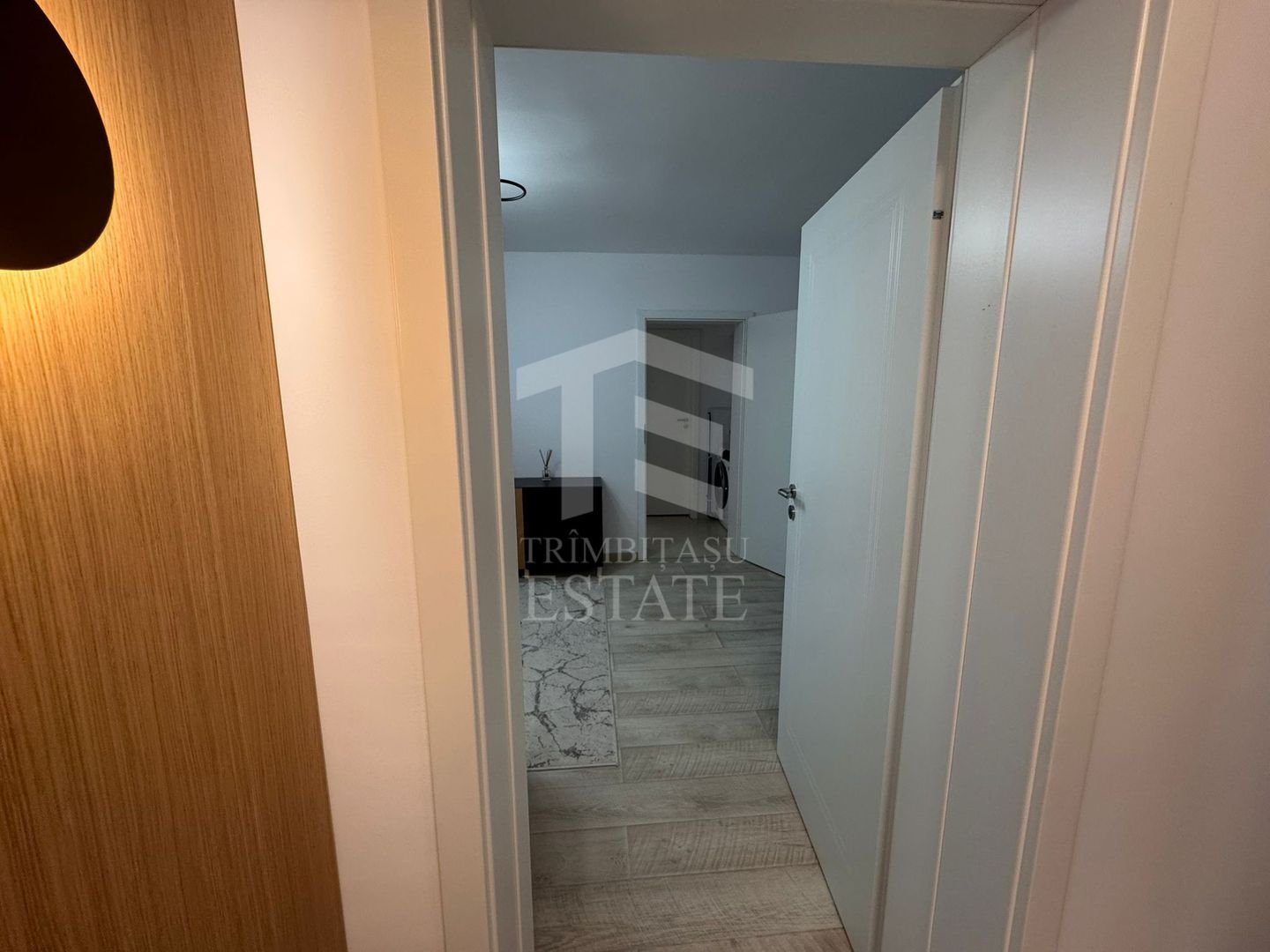 Apartament 2 camere Costin Georgian 4/4 - Poză 9