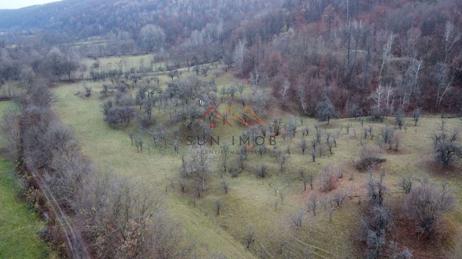 Teren 36000 m2, intravilan+partial extravilan, cadastru, Draganeasa PH - Poză 4