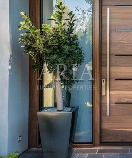 STUNNING VILLA HERASTRAU PARK - Poză 9