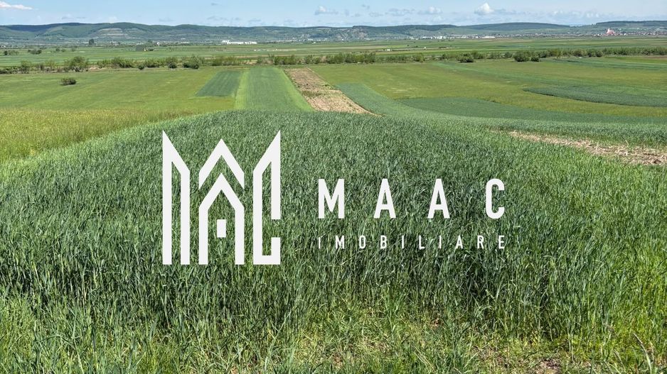 Teren extravilan 2393 mp | Gura Râului | acces, Carte Funciară - Poză 1