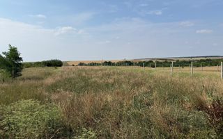 Teren intravilan Miersig, vedere la lac. 12,5 E/mp neg. Comision 0 - Poză 7