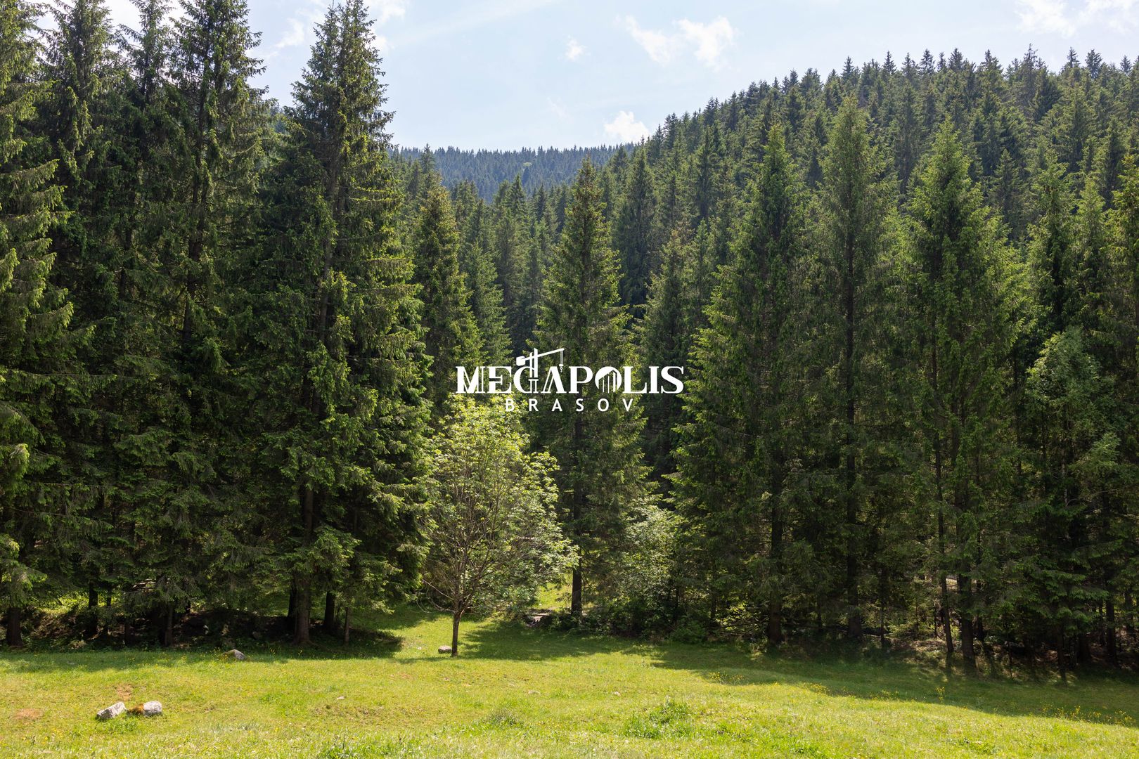 Pretabil Hotel,Pensiune,Case de Vacanta/Utilitati/PUZ - Poză 11