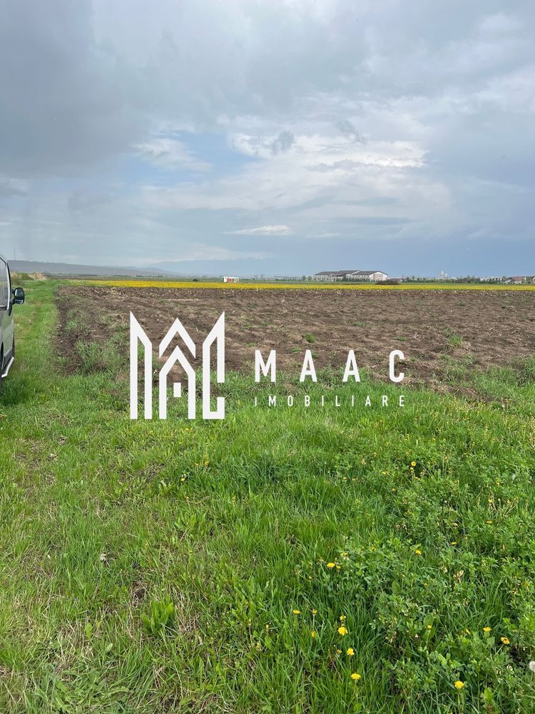 Teren de vanzare | 10.000 Mp | Sura Mica - Poză 2