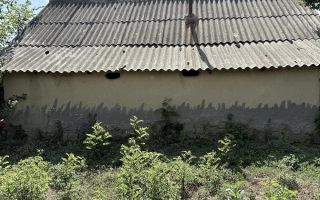 Casă + Teren 521 mp în Sat Bălteni, Comuna Probota, Județul Iași - Poză 7