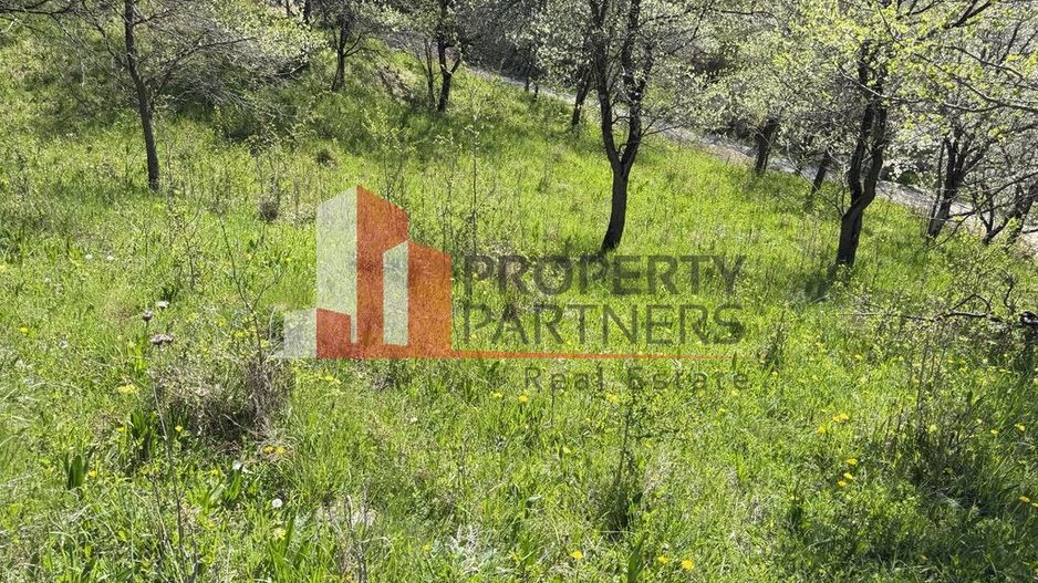 Teren 2500 mp Sohodol - Poză 16