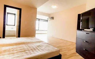 Penthouse tip duplex I View spectaculos I Zona Herastrau - Poză 13