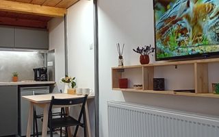 Garsonieră ultracentrală | str. Regele Ferdinand | Investitie | Airbnb - Poză 3