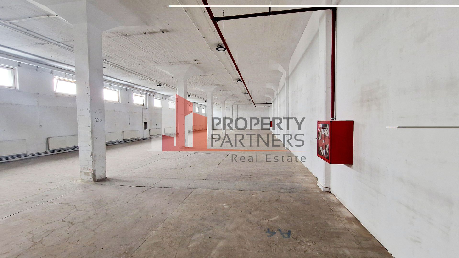 Spatii multifunctionale - Depozitare / Productie usoara / Asamblare - Poză 2