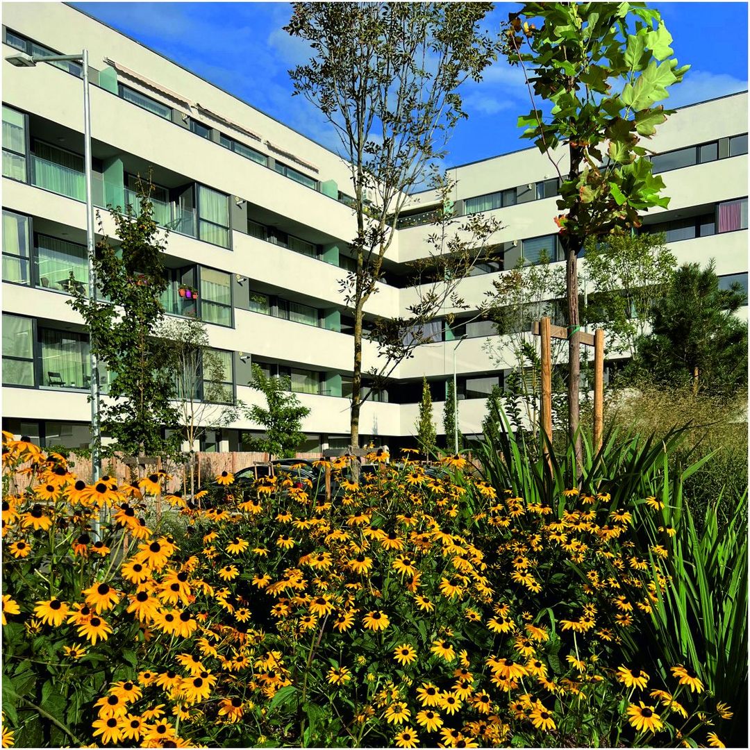 Apartament 2 camere Terasa | Etaj 4 |  Faza 3 - Poză 5