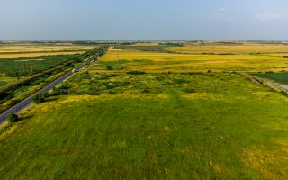 Teren pentru investiție DN7 - Poză 3