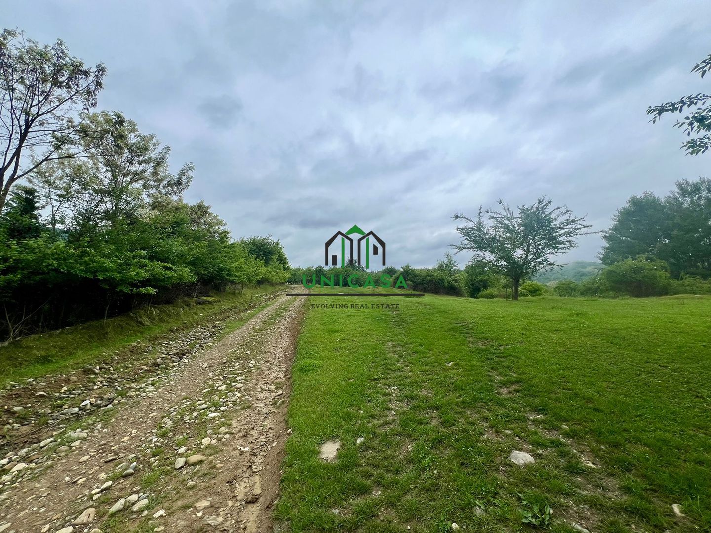 Teren 3507 mp/ Seaca/Calimanesti - Poză 3