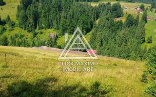 7130 mp TEREN INTRAVILAN ARIESENI-ALBA langa viitoarea partie de SCHI - Poză 2