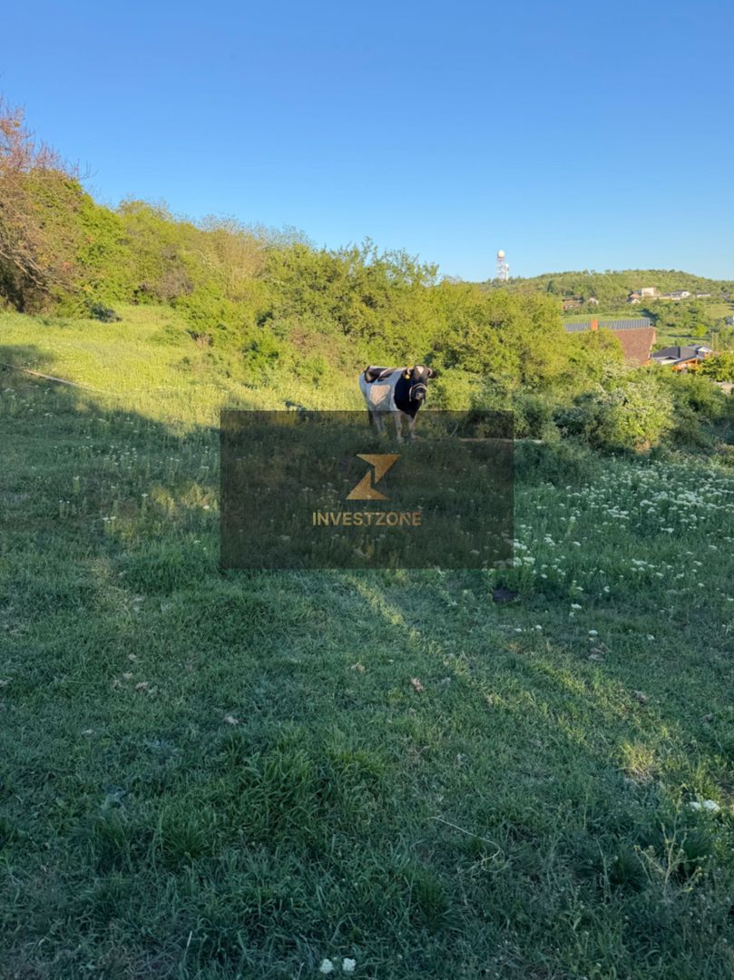 ⭐  Teren de 2.700 mp cu front generos – Ocazie în Oncea - Poză 6