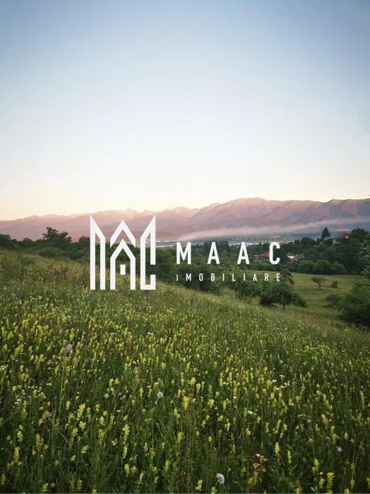 Teren | Intravilan | 5129 MP | 2 Cabane AFrame | Oportunitate Investiție | Bradu - Poză 4