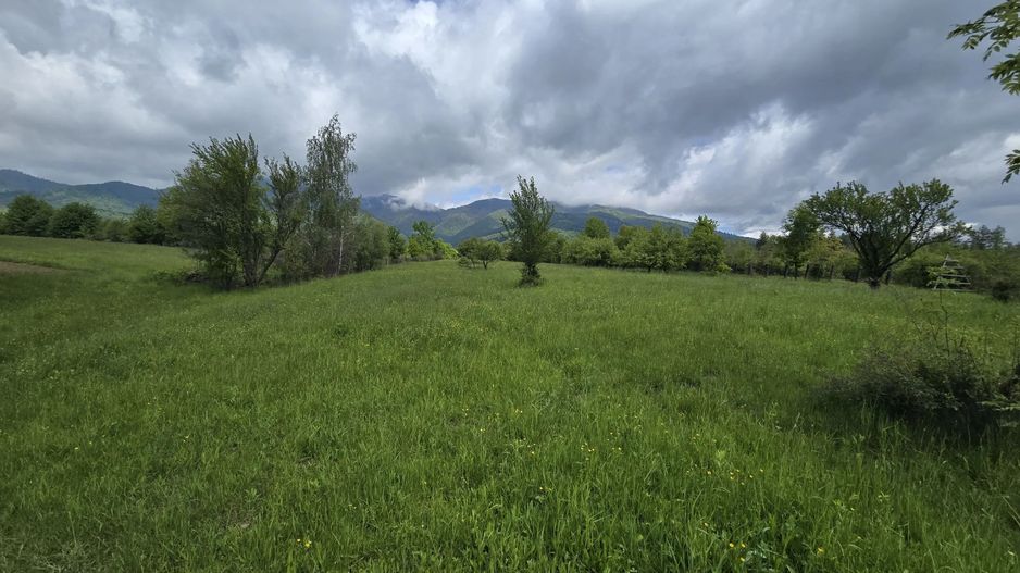 teren intravilan - 2 minute de centru Prundu Bargaului - 26 parcele - Poză 4