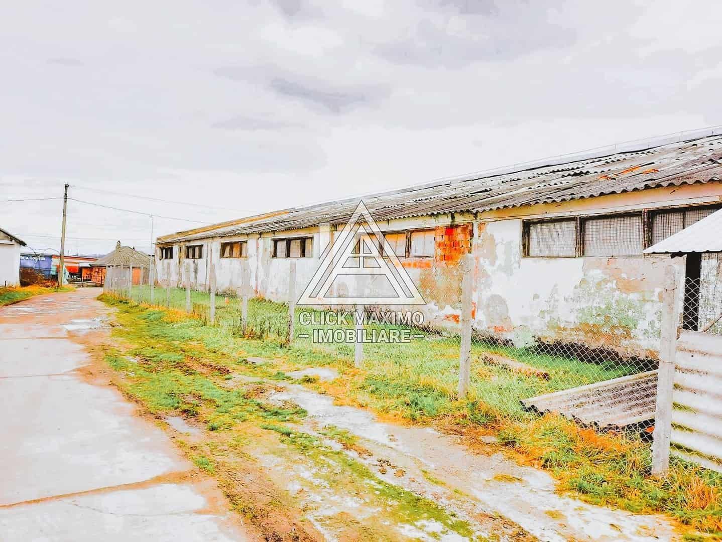 770 mp HALA TIP AVICOLA si 1390 mp TEREN INTRAVILAN, BECLEAN-BISTRITA - Poză 5