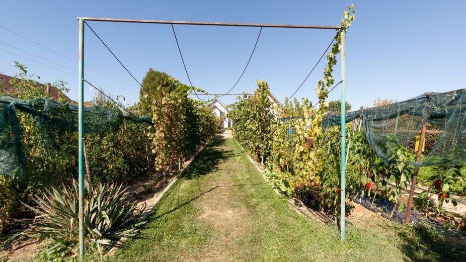 Casa visurilor cu livada roditoare si gradina amenajata - Poză 3