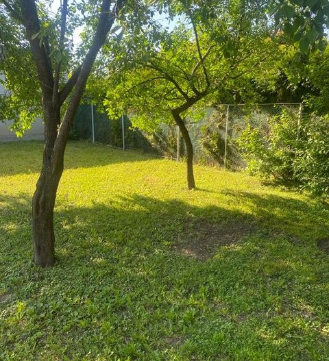 Casa individuala in zona Fratelia - Poză 14