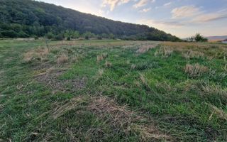 Teren pretabil cabana zona Poplaca  - Poză 2