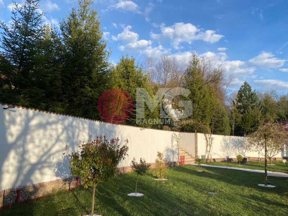 Domeniu de vanzare, Baile Govora teren 20875mp - Poză 9