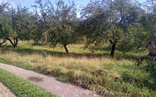 Teren 1500 mp - pretabil cabana/investitie - Zona Valea Rusului - Poză 2