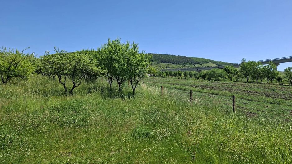 Teren de vanzare in Valcele - Poză 4