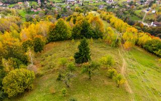 In arena Parcului Natural Piatra Craiului, Magura, Moieciu, Brasov - Poză 3