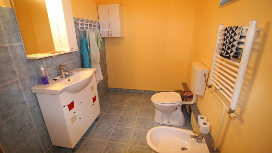 CASA CU TEREN GENEROS - Poză 13
