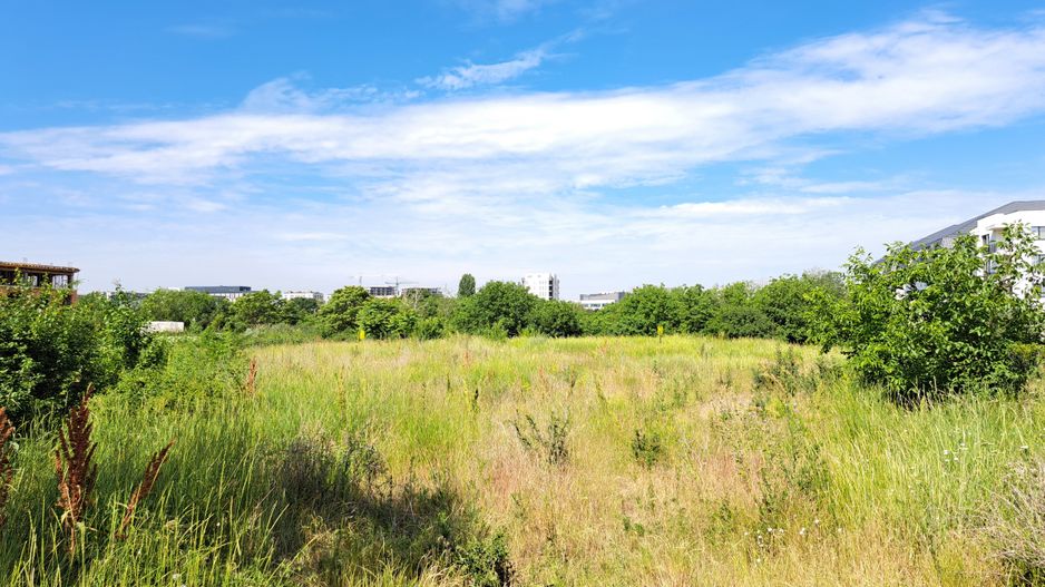 Teren intravilan 1907 mp - Aviatiei - Poză 2