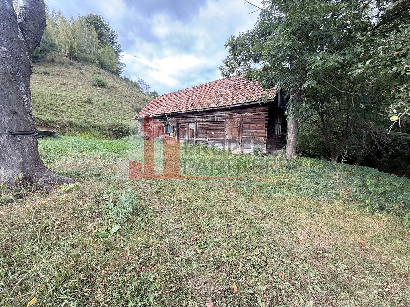 Teren de investiție în Moieciu, lângă Castelul Bran – 11.381 mp, vedere Bucegi - Poză 3