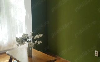 Vând imobil, fundație înaltă, in SM, zona bună - Poză 3