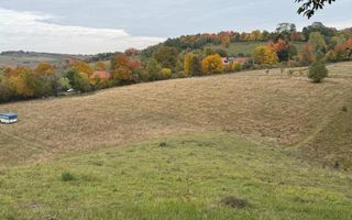 Teren intravilan 17,265 mp in Tomnatic comuna Vadu Crisului - Poză 3