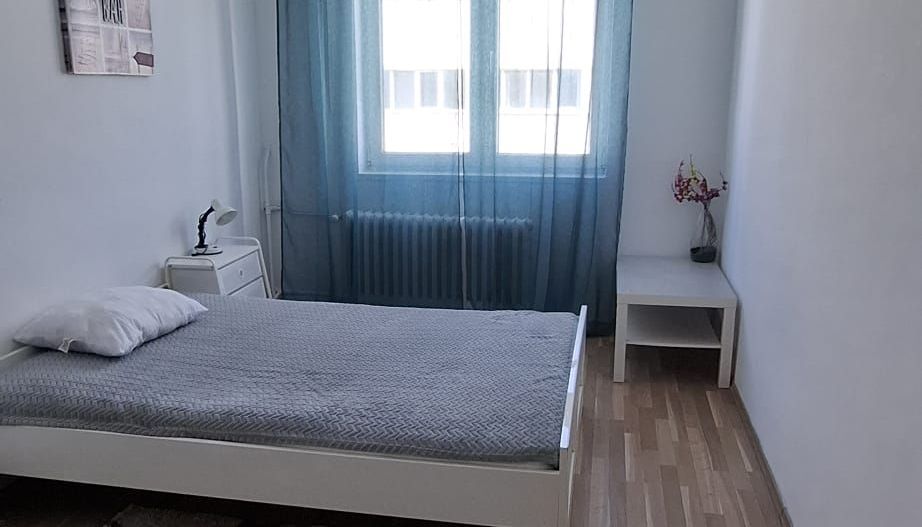 Apartament 2 camere Dristor / Park Lake / Stradal - Poză 11