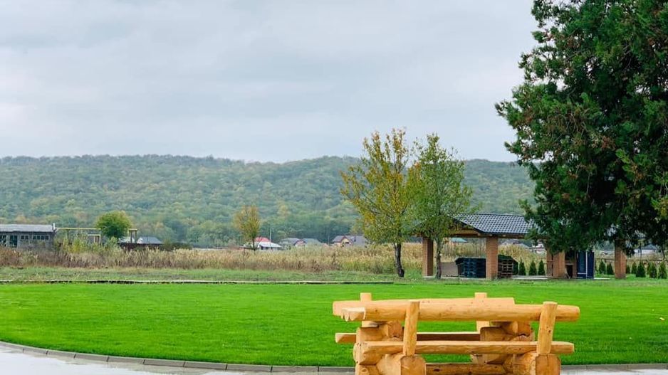 INVESTIȚIE - Complex agrement, teren 23.000 mp, VASLUI - IASI; - Poză 8