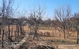 Casa mare in Paulis, la drumul principal, 1500 mp teren - Poză 5